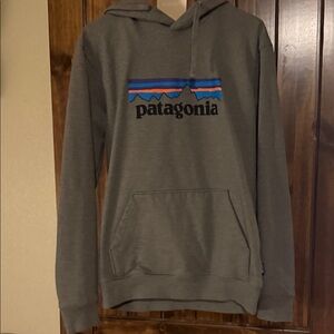 Patagonia Gray Hoodie with Blue and Red Accents